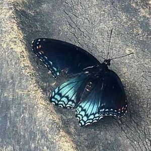 Meet your Posher, Tb